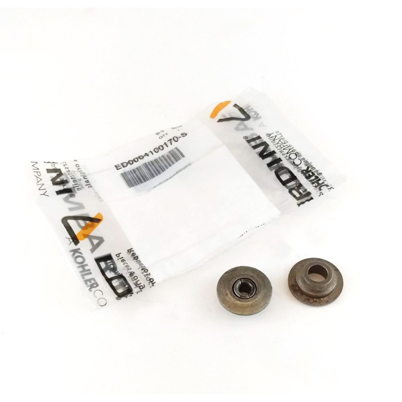 Soucoupe Semicônes Lombardini LDW