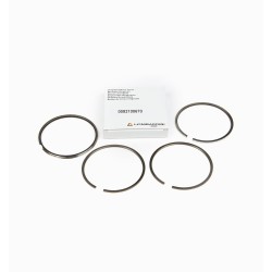 SEGMENTS SERIES LOMBARDINI 5LD825
