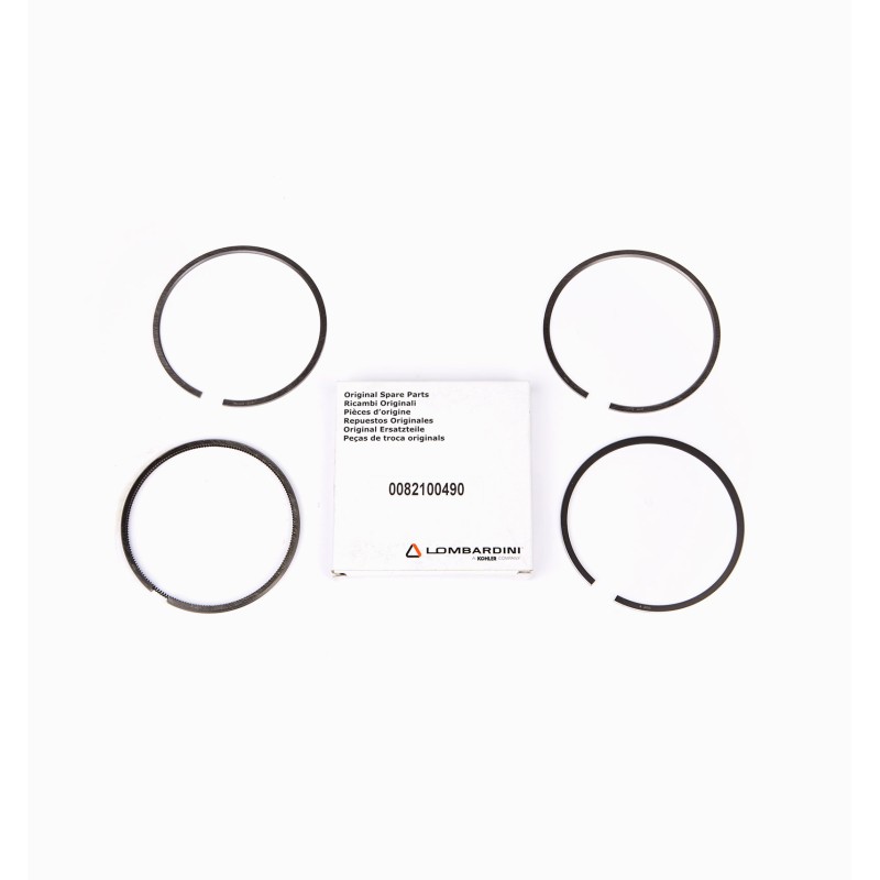 SERIE SEGMENTOS LOMBARDINI 4LD705 / LDA100