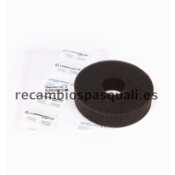 Pasquali Motor Espuma Filtrante Lombardini