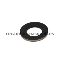 Pasquali  tractor Kit repación dirección Mecanica