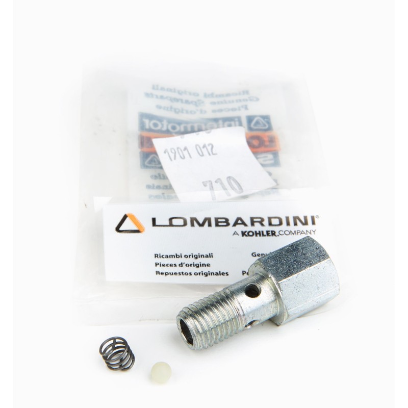 Accesorios de Repuesto Tornillo Lombardini 3LD, 6LD , 7LD...