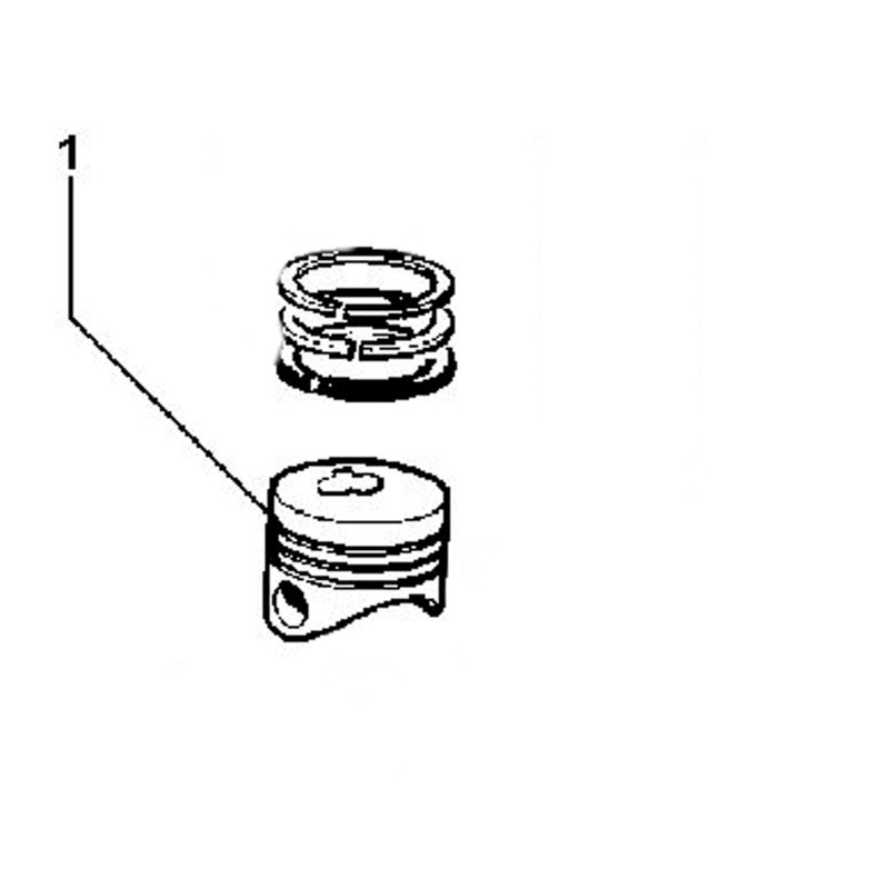 Piston plein STD Lombardini LDW 2204/T