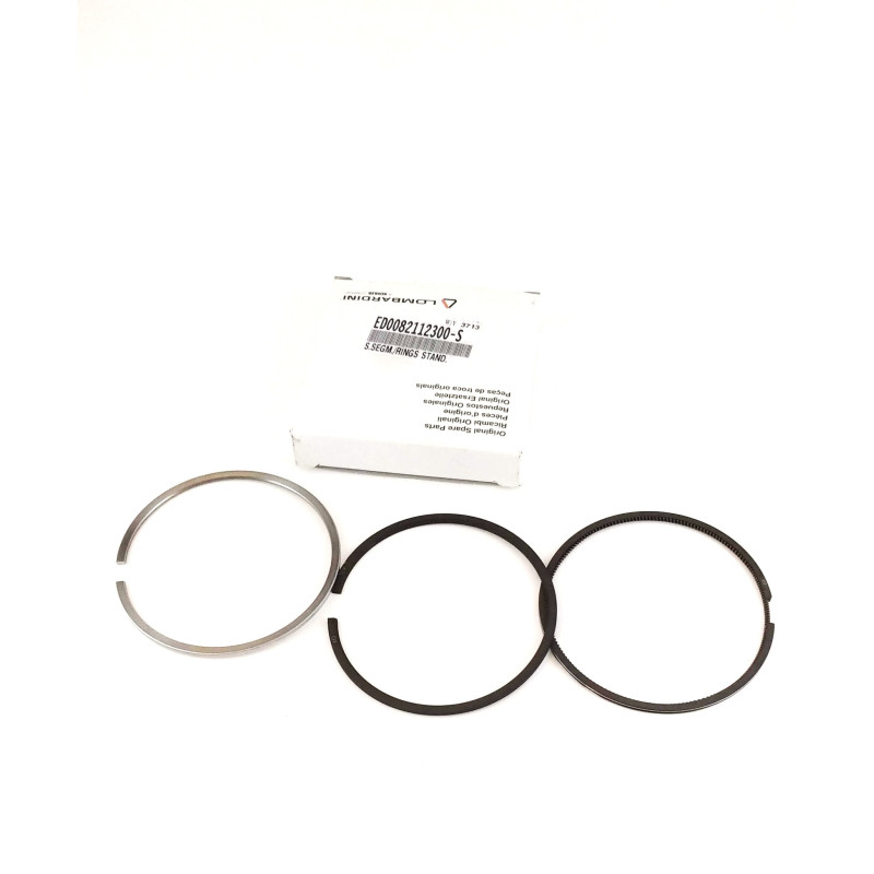 Série STD moteur Lombardini LDW 2204/T Segment