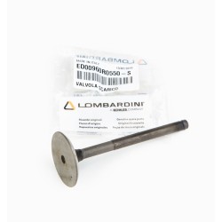 Remplacement de la soupape d'échappement Ruggerini RF120