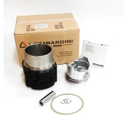 Caja Diferencial, Contador Horario y Disyuntor Térmico Kohler SDMO