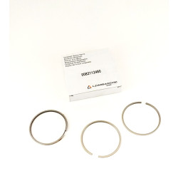 STD engine Lombardini LDW 2204/T Segment Series