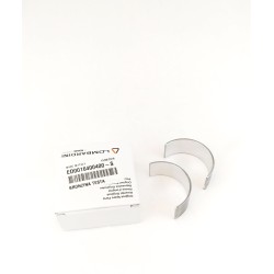 Cojinete Pie Biela STD Lombardini LDW 2204