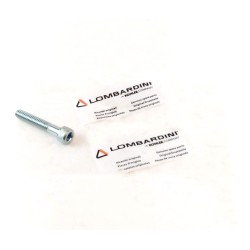 Tornillo  Lombardini 6LD