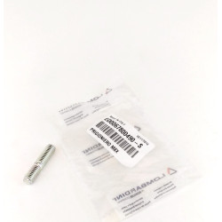 Asperges Lombardini 12LD435