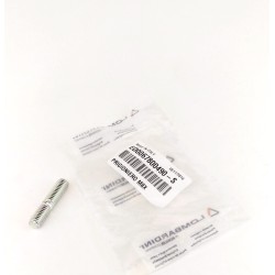 Asparagus Lombardini 12LD435