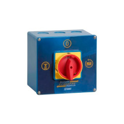 Source Inverter for Generator Sets