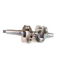 Crankshaft engine Ruggerini RD