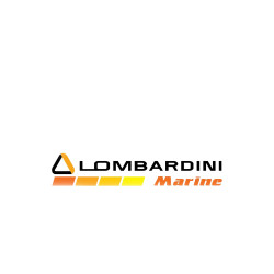 Gasket cylinder head 1.45 Lombardini Marine LDW 502 M