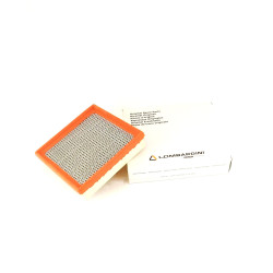 Cartucho Aire Lombardini 3LD 510