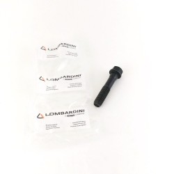Tornillo M10x1.5x50 Lombardini LDW 1503