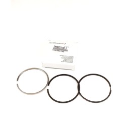 STD engine Lombardini LDW 2204/T Segment Series