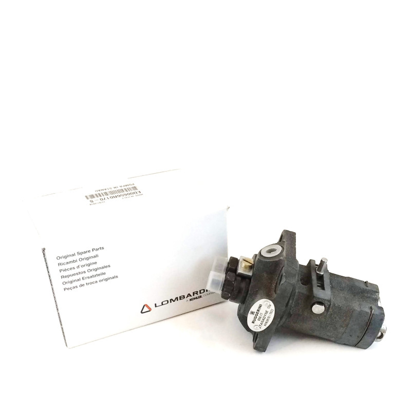 Ruggerini Pompe d’injection