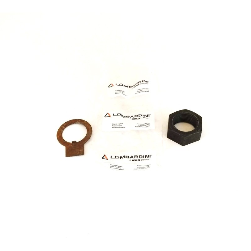 Kit Tuerca y chapa Lombardini 5LD