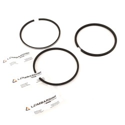 Serie Segmentos D.80 motor Ruggerini RD180