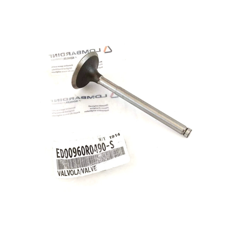 Intake Valve Ruggerini RF80
