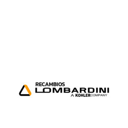 Kit Lombardini LDW 245 JMT