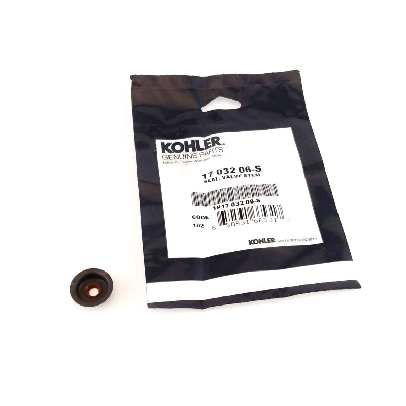Dispositif de retenue de soupape Kohler CH 270
