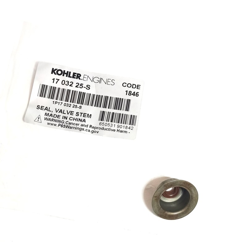 Filtro Aire Kohler CH 6