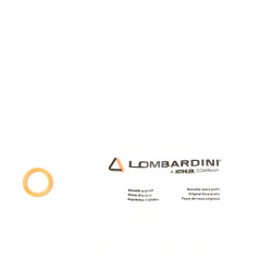 Rondelle 10x128 Lombardini Marine 1404 m