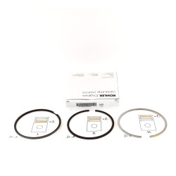 Serie Segmentos STD Motor Lombardini LDW 2004