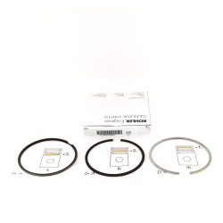 Serie Segmentos STD Motor Lombardini LDW 2004