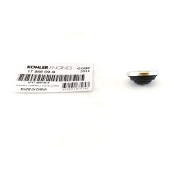 Conjunto Combustible Kohler CH 270