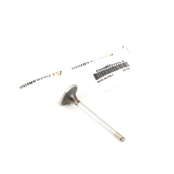 Intake Valve Lombardini LDW 702