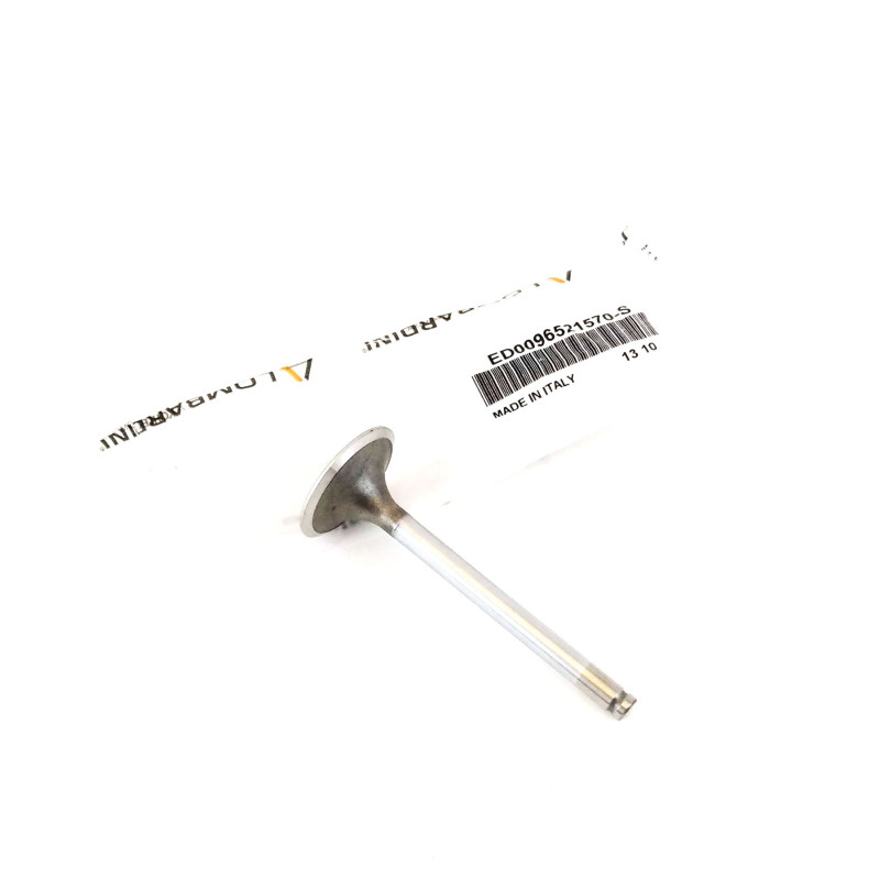 Intake Valve Lombardini LDW 702