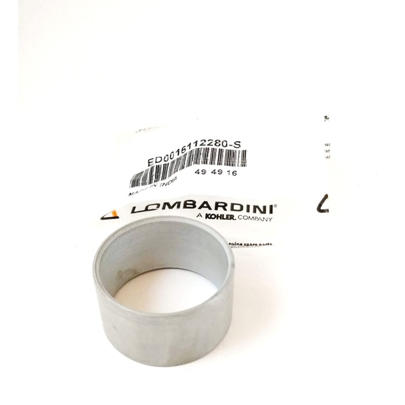 Roulement de lit latéral de volant moteur -0.25 moteur Lombardini 6LD