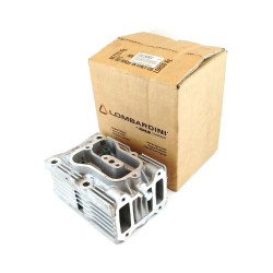 Cylinder Head with Guides Ruggerini RD 220