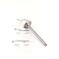 Intake Valve Lombardini 10LD 400-2