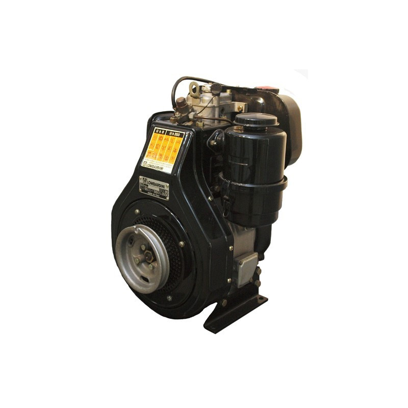 MOTOR LOMBARDINI 3LD450*