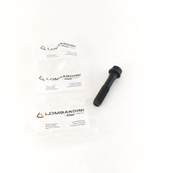 Tornillo M10x1.5x50  Lombardini LDW 1503