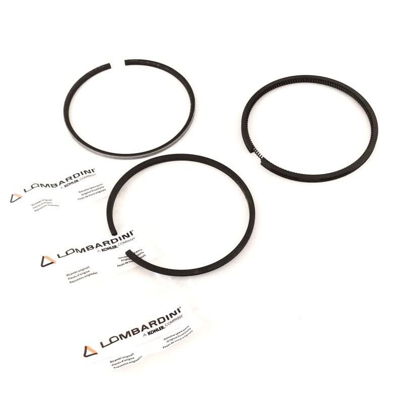 Serie Segmentos D.80 motor Ruggerini RD180