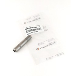 Guide de soupape d’admission STD Lombardini 3LD 450