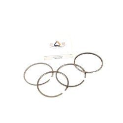 STD Segment Series Lombardini 5LD 930-4