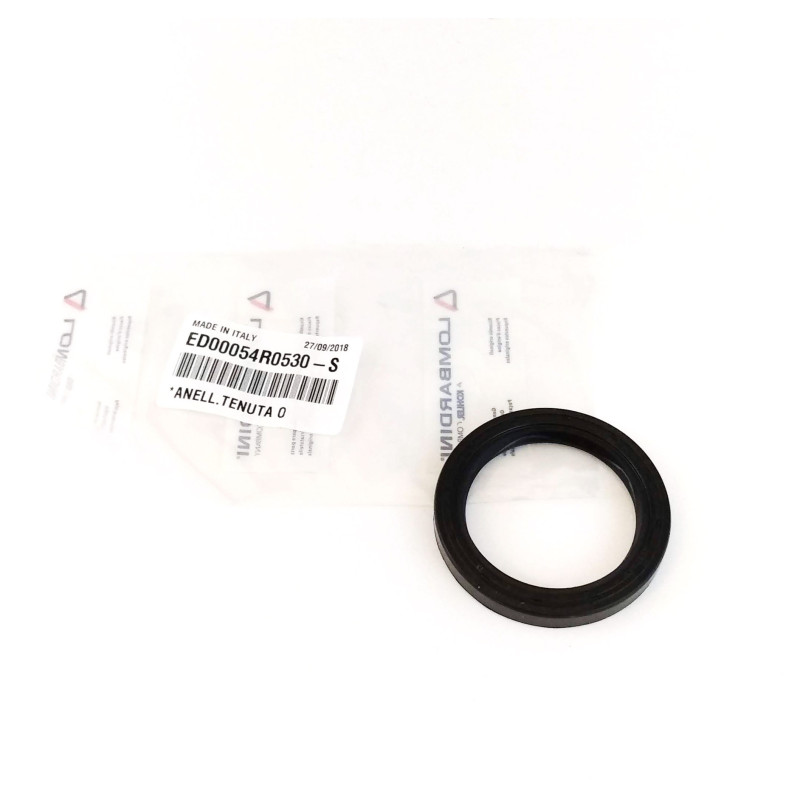 Joint d’huile moteur Ruggerini RD901