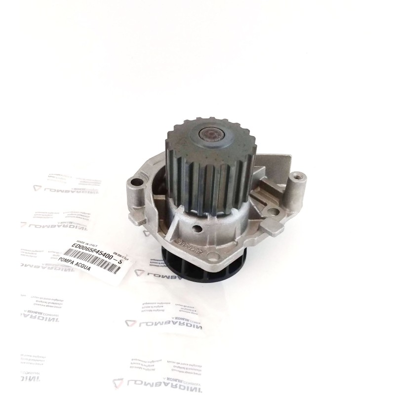 Pompe à eau Lombardini LDW 1003