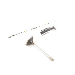 Intake Valve Lombardini LDW 702