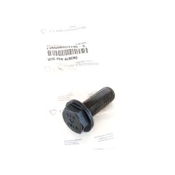 Vis M16x1,5 Lombardini LDW 1603
