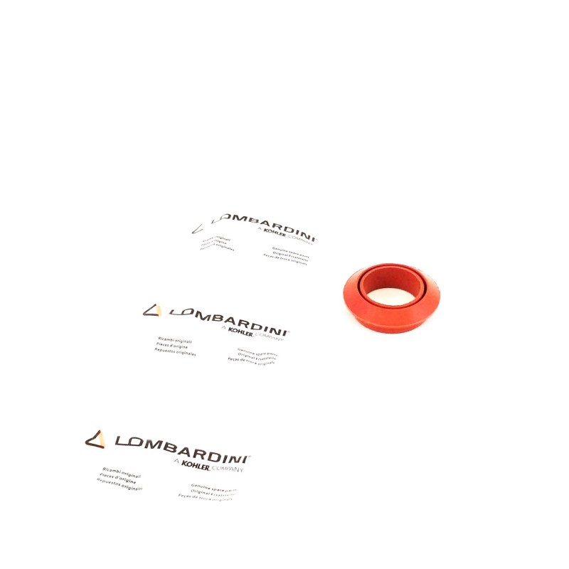 Superiorgasket Lombardini 6LD 260
