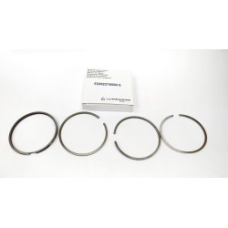 RUGGERINI RD220 RF120 SERIES SEGMENTS