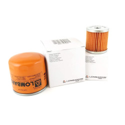 Kit 500H Mantenimiento Lombardini 9LD 625-2