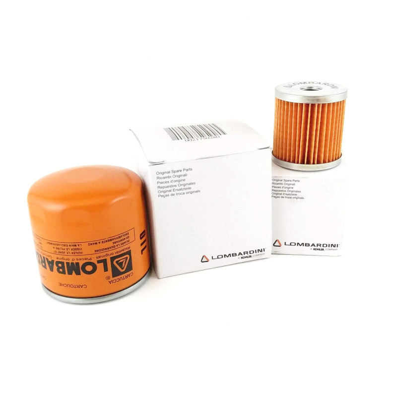 Kit 500H Mantenimiento Lombardini 9LD 625-2